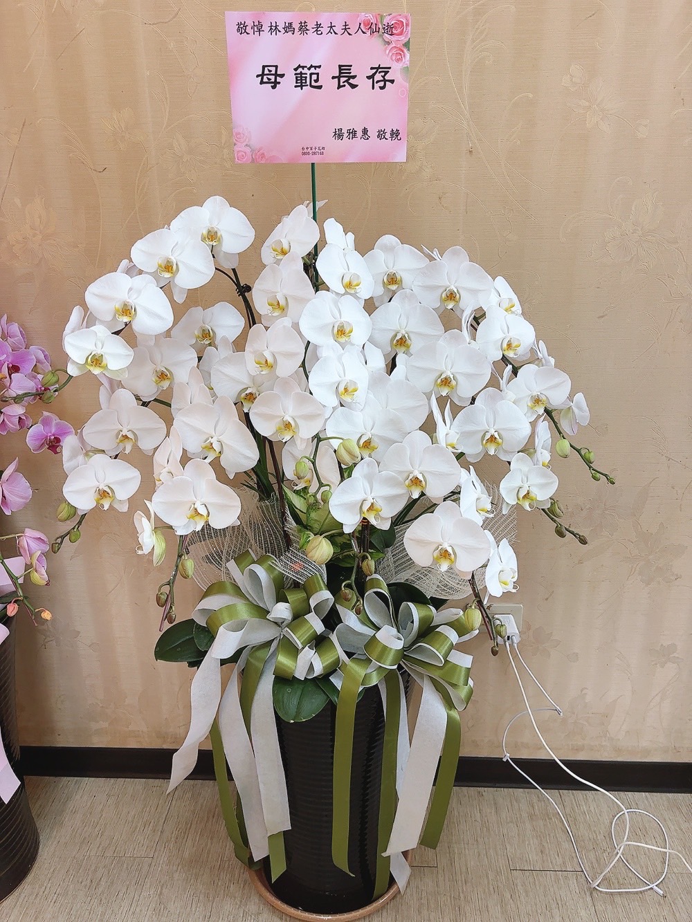 ~致喪白蘭花一盆~(15)