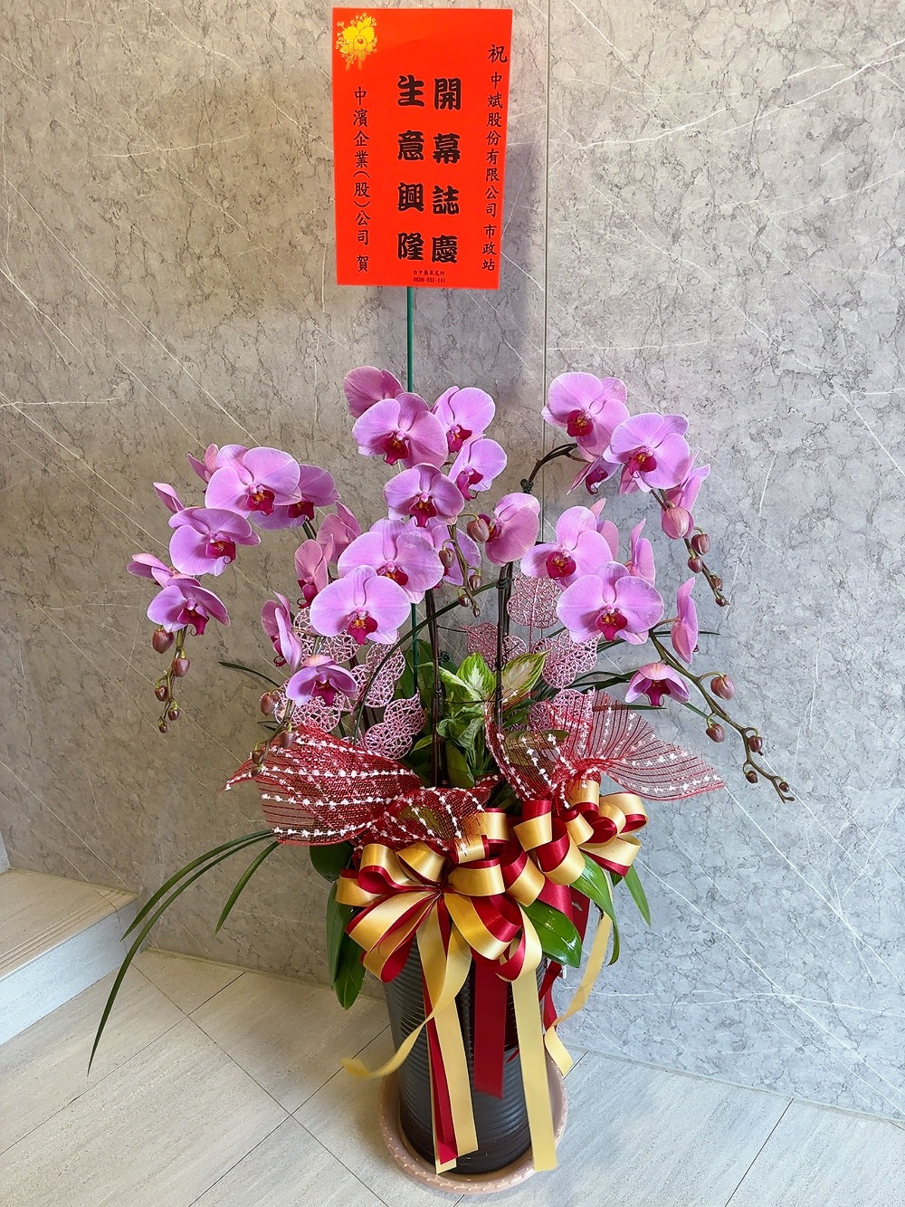 ~典雅蘭花盆景~(20)